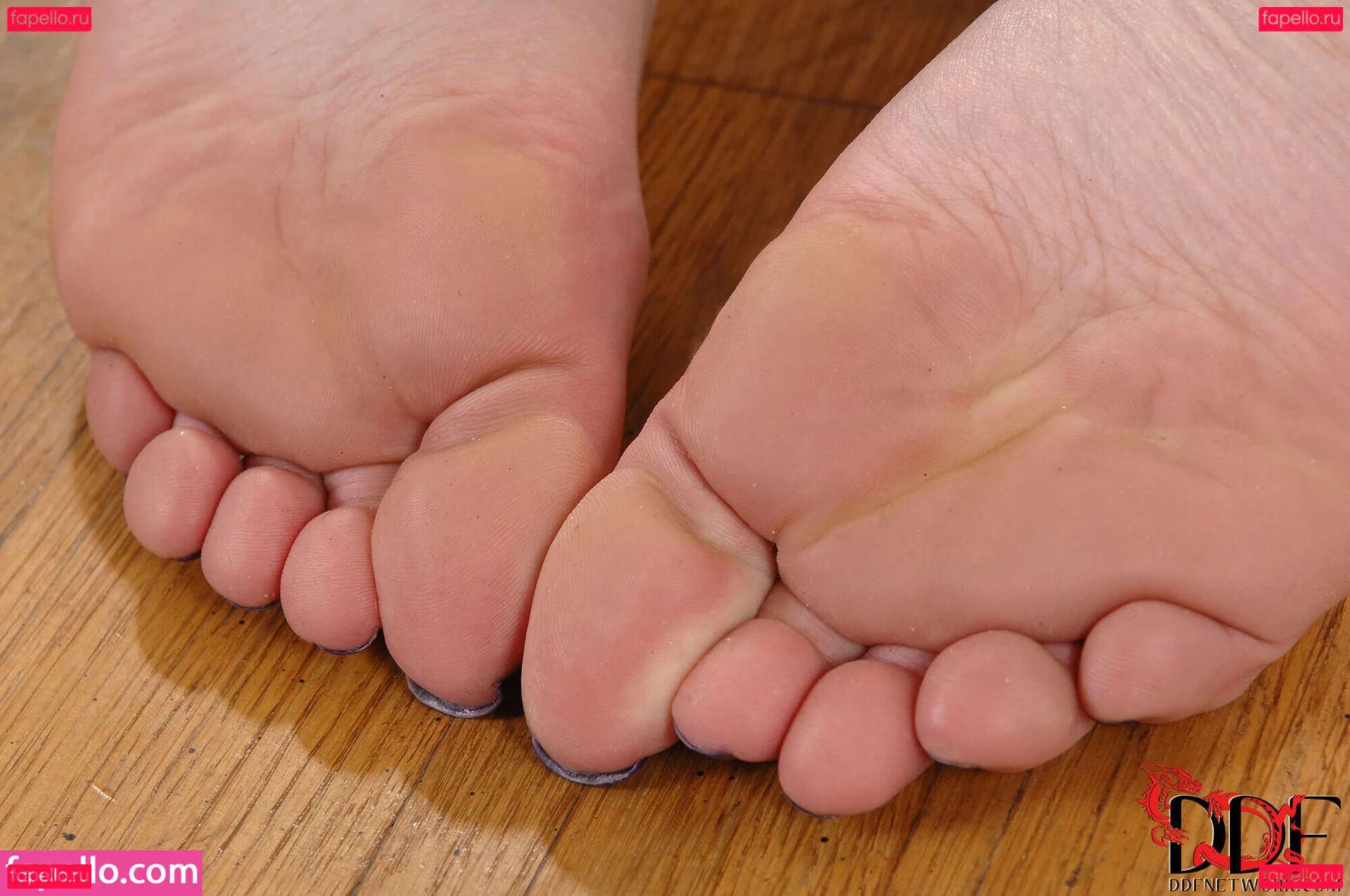 Sophia Knight Onlyfans Photo Gallery 