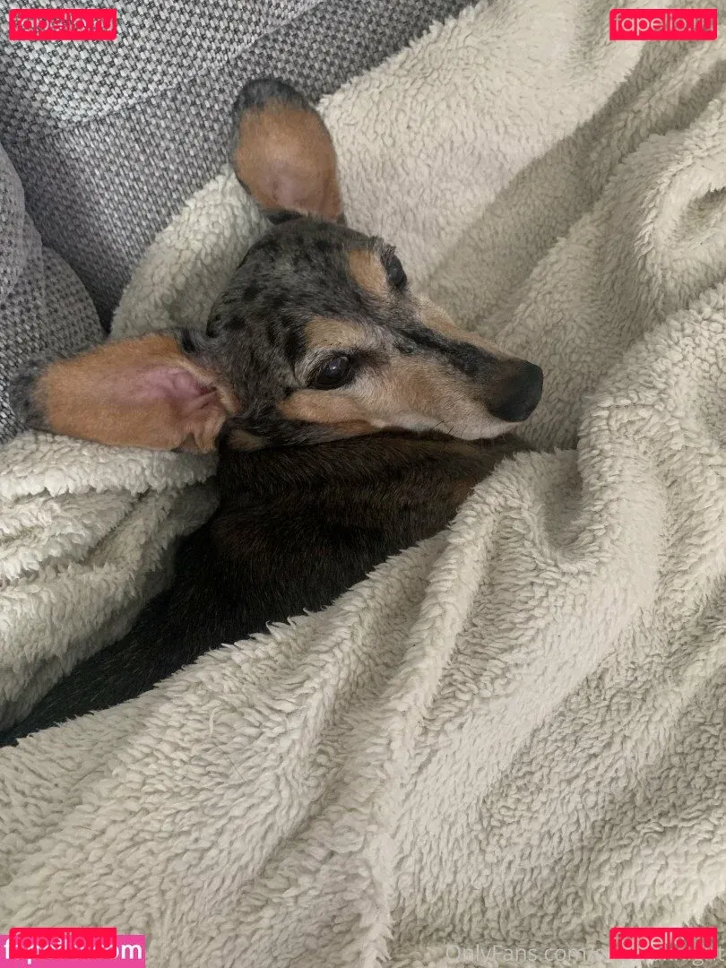 Sophia Knight Onlyfans Photo Gallery 