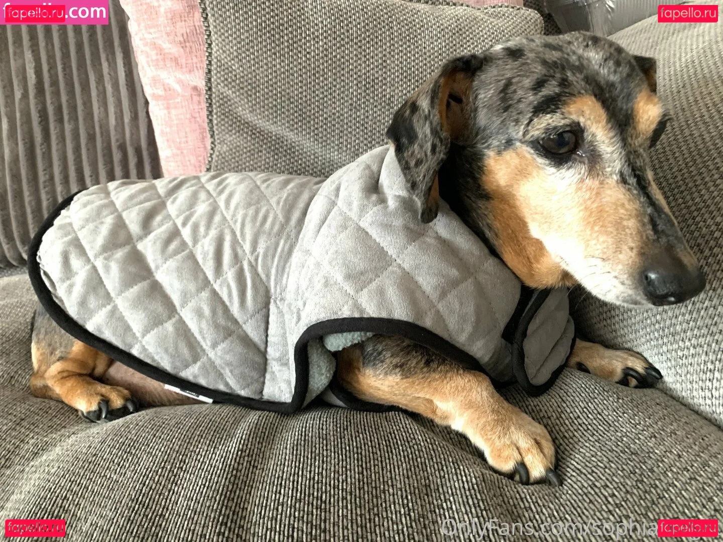 Sophia Knight Onlyfans Photo Gallery 