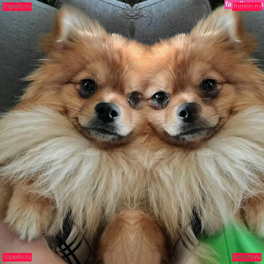 Charlie Dee Onlyfans Photo Gallery 