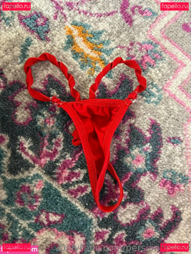 persianbrat69 Onlyfans Photo Gallery 