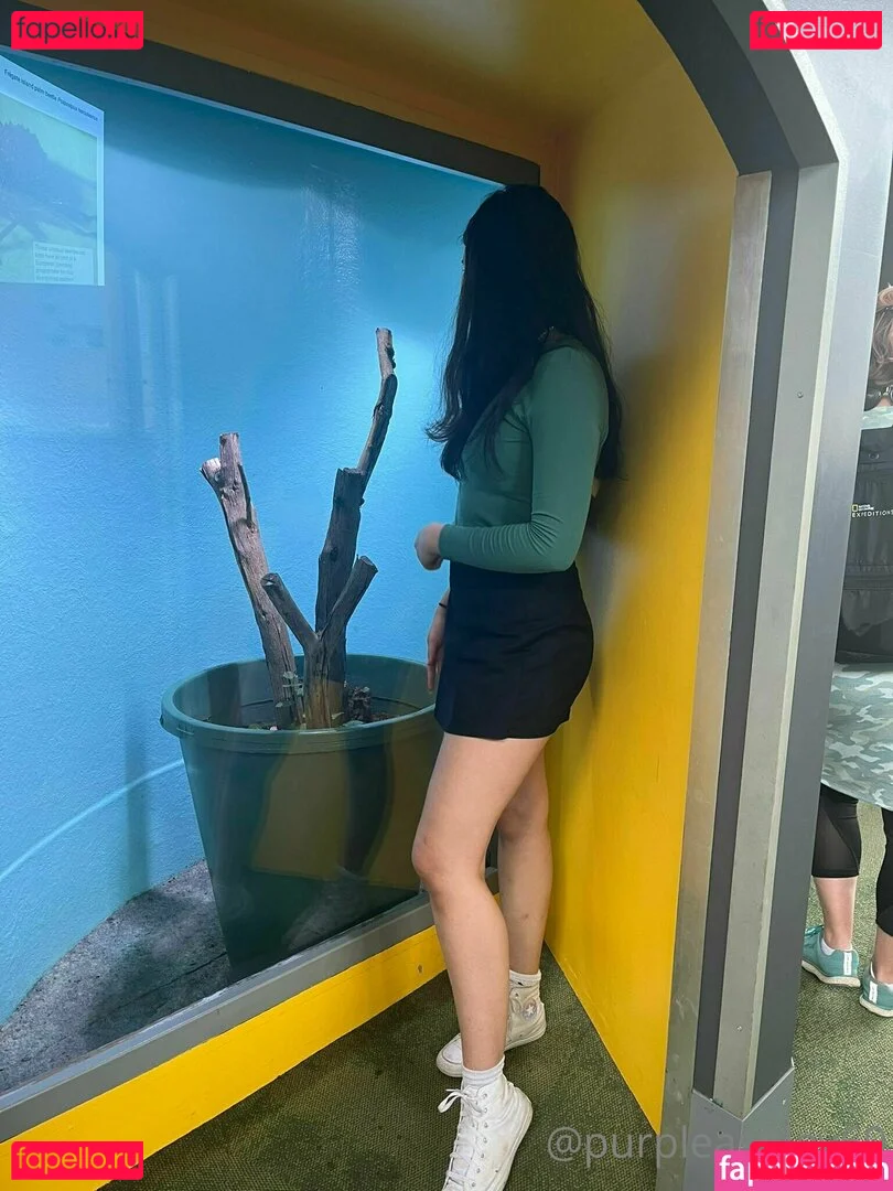 purpleashley69 Onlyfans Photo Gallery 