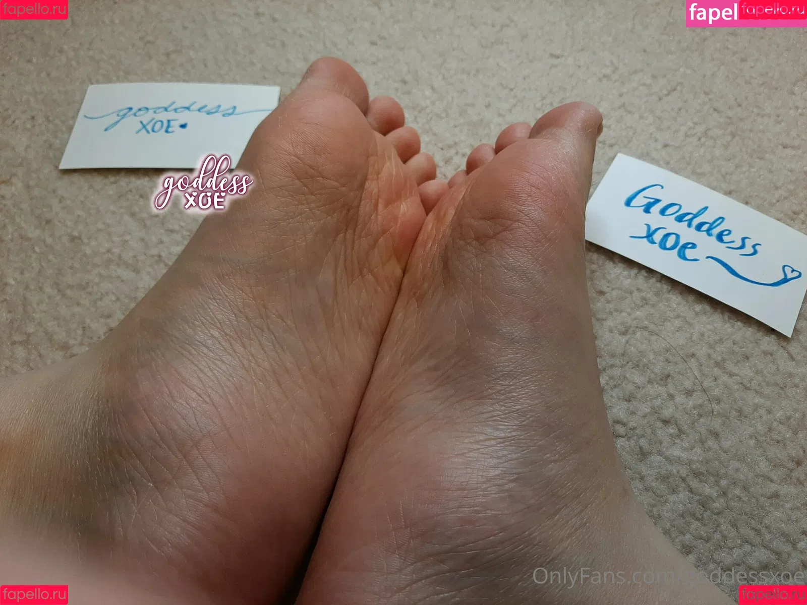 goddessxoe Onlyfans Photo Gallery 