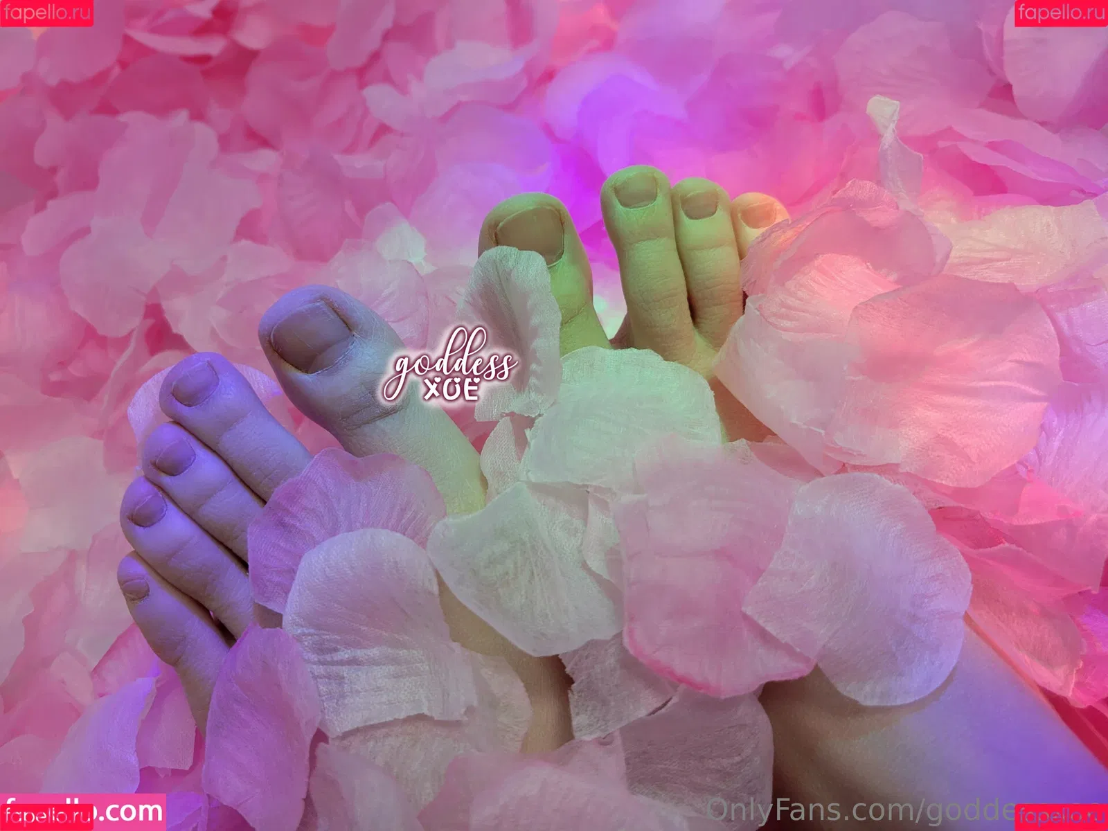 goddessxoe Onlyfans Photo Gallery 