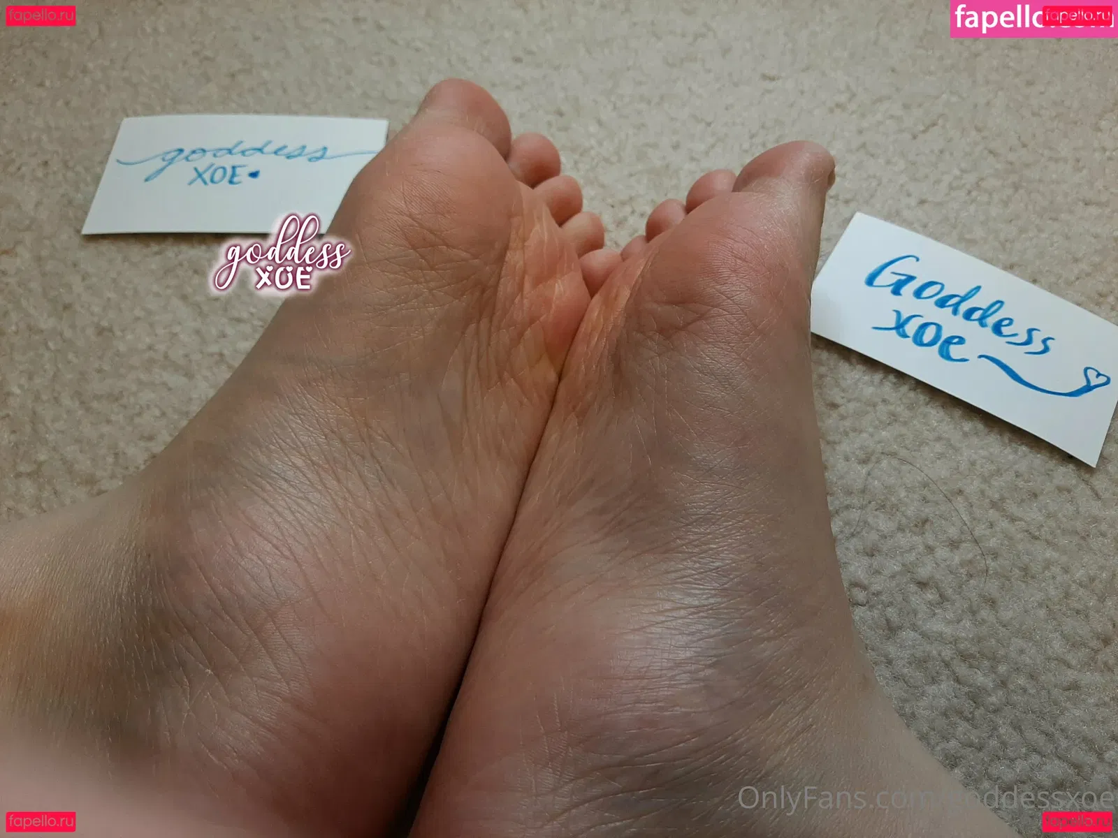 goddessxoe Onlyfans Photo Gallery 