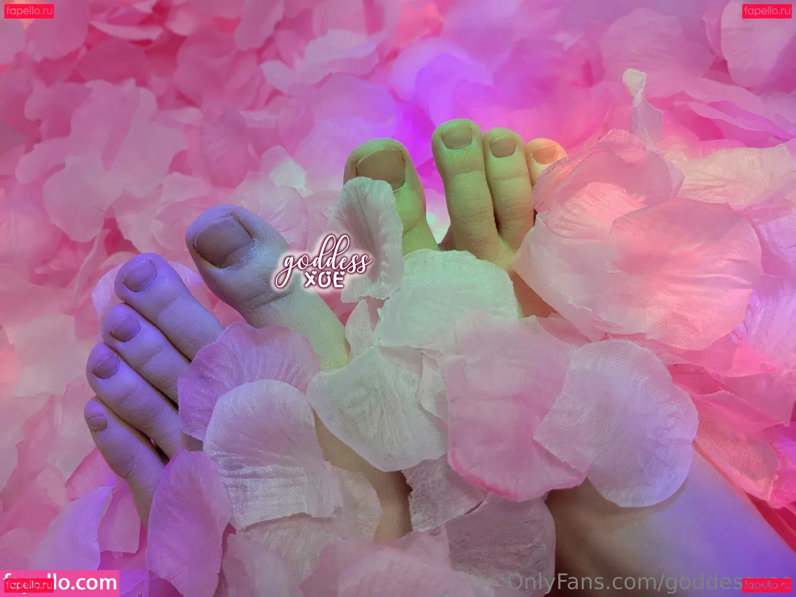 goddessxoe Onlyfans Photo Gallery 