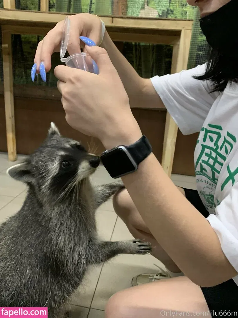 lilymae_01 Onlyfans Photo Gallery 