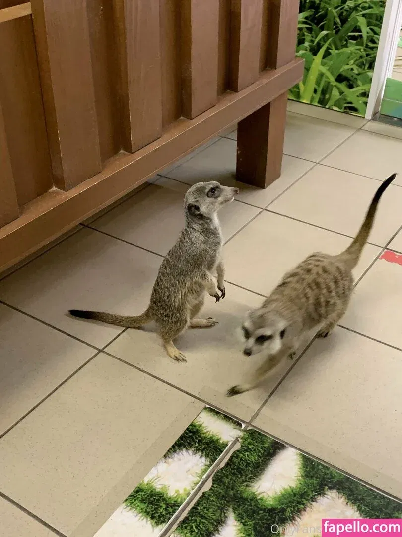 lilymae_01 Onlyfans Photo Gallery 