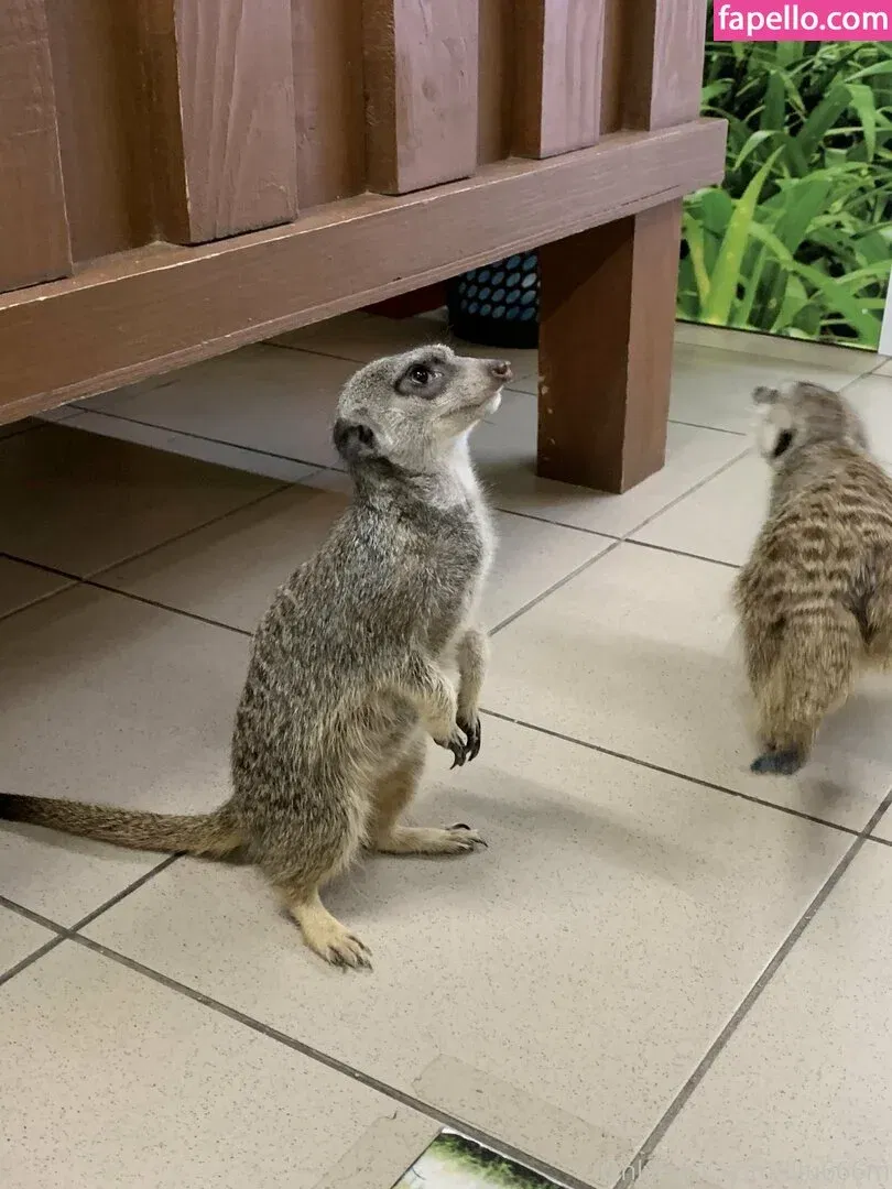 lilymae_01 Onlyfans Photo Gallery 