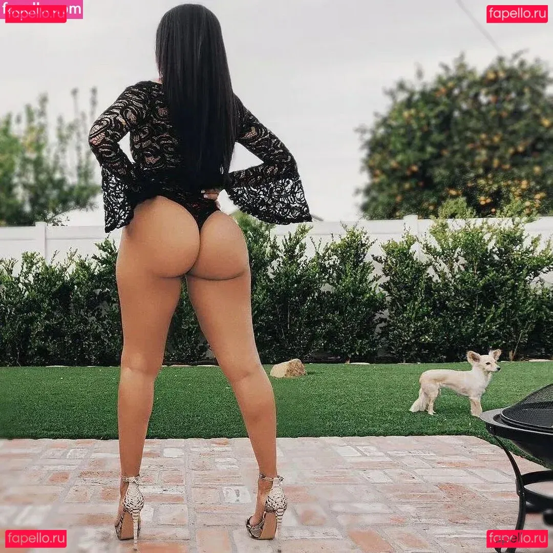 Vida Guerra Onlyfans Photo Gallery 