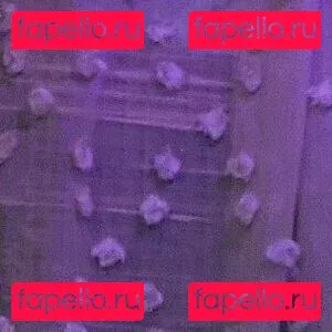 bakedblondi Onlyfans Photo Gallery 