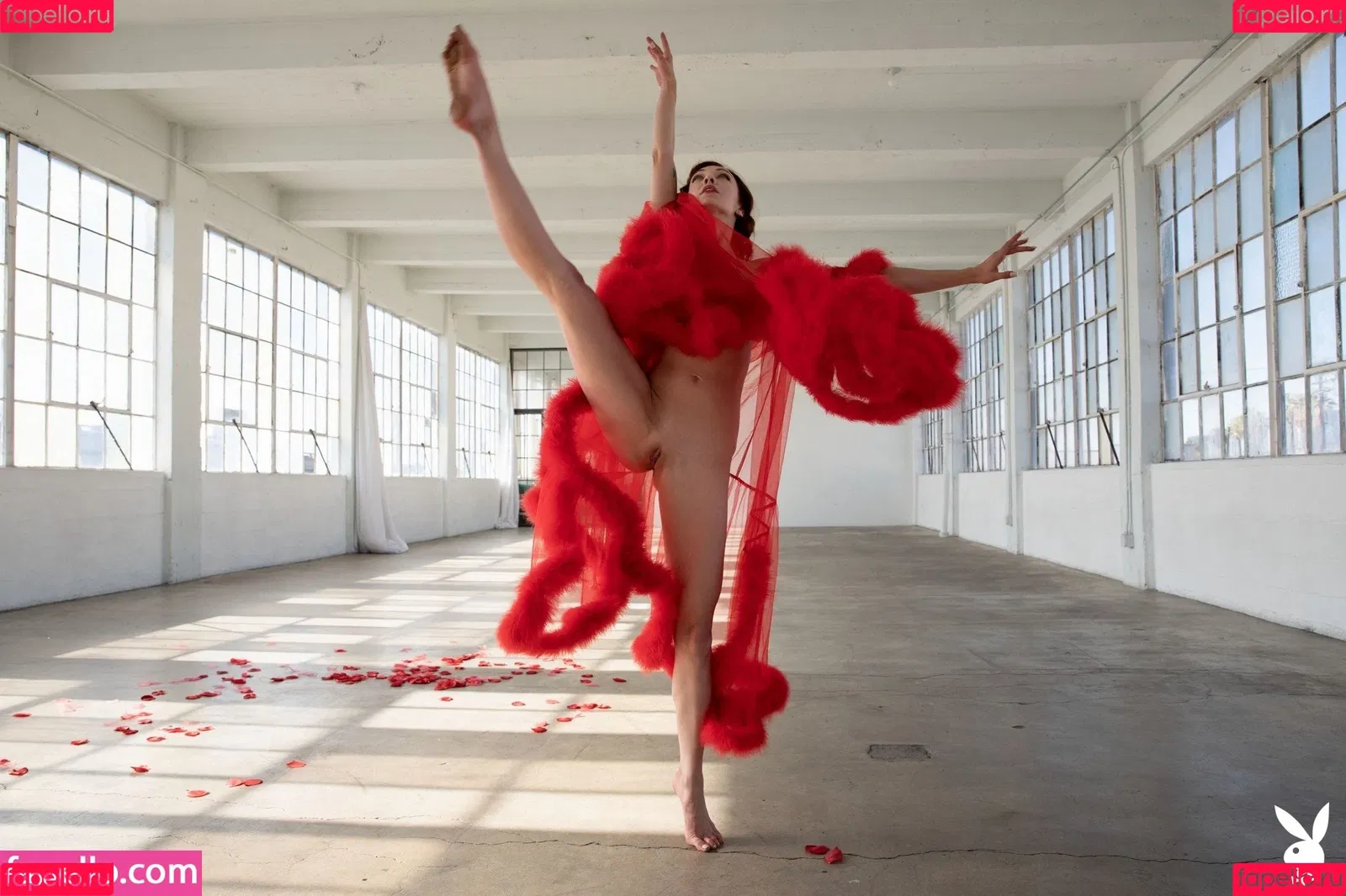 Madeline Amour Onlyfans Photo Gallery 