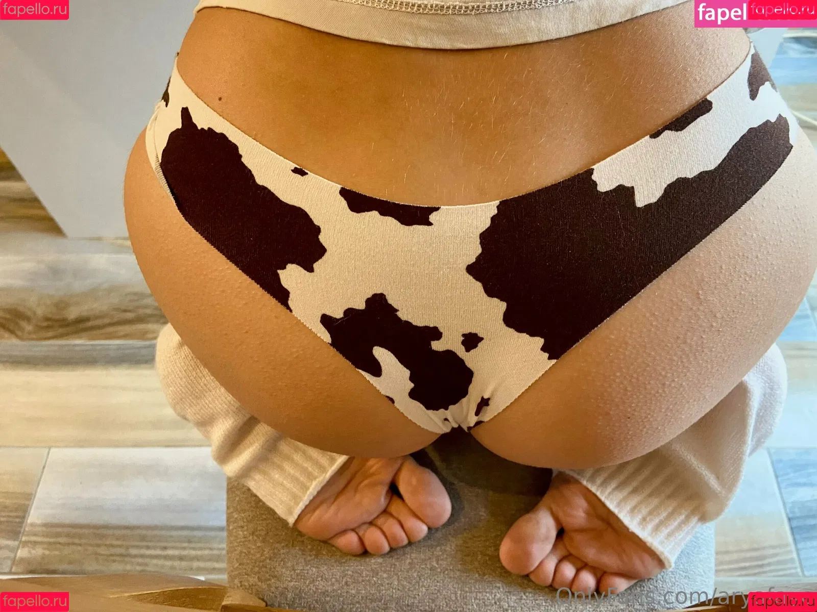 aryafaye Onlyfans Photo Gallery 