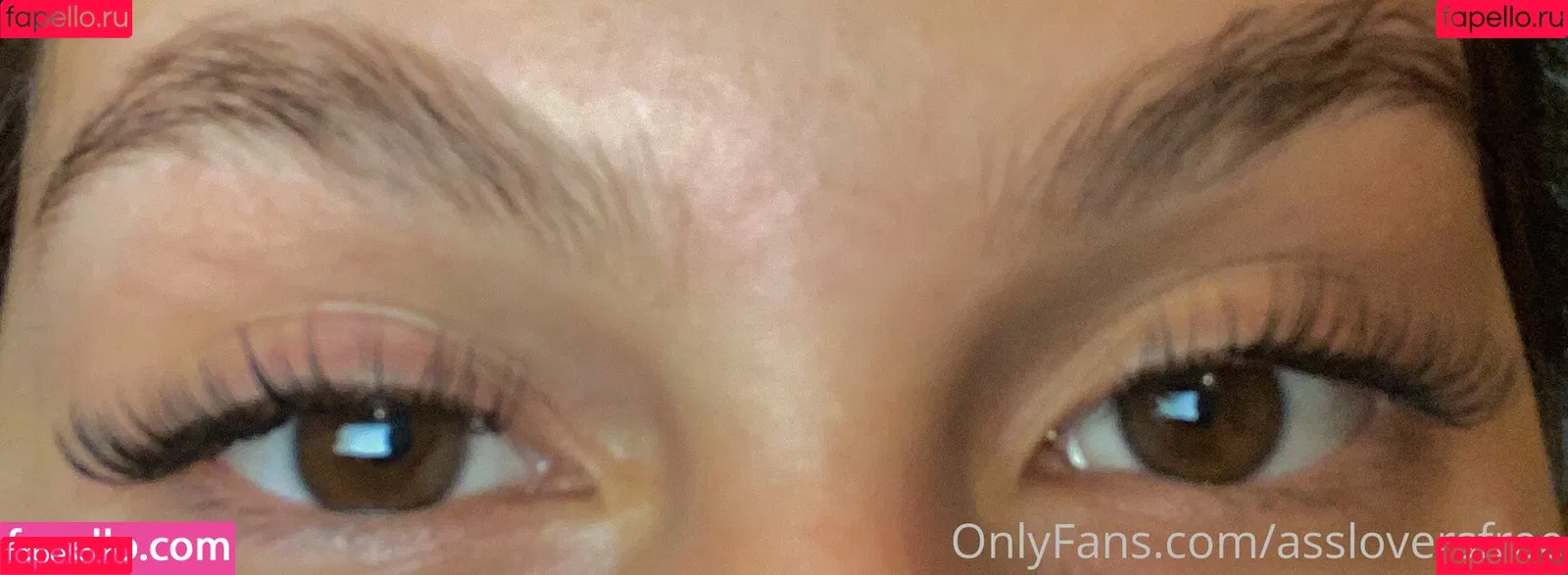 assloversfree Onlyfans Photo Gallery 