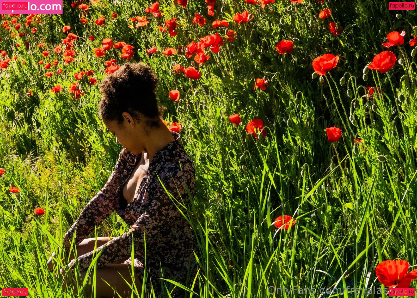 freyalasirenn Onlyfans Photo Gallery 