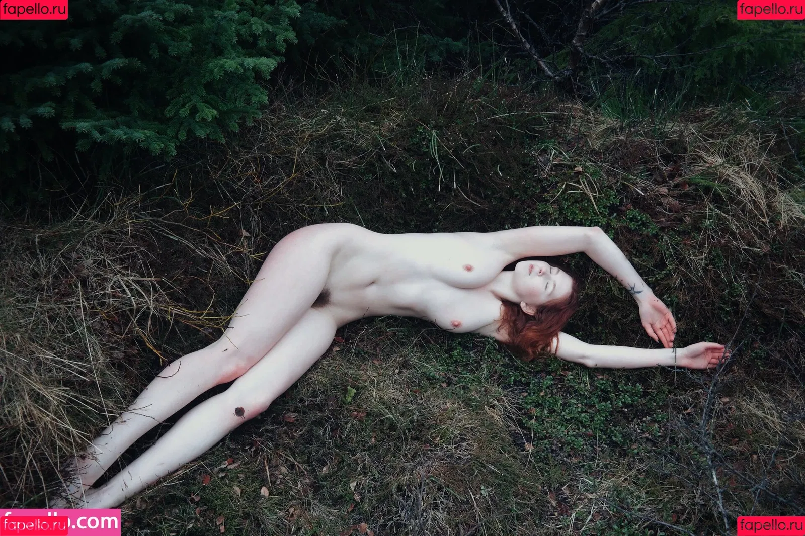 Icelandic Selkie Onlyfans Photo Gallery 