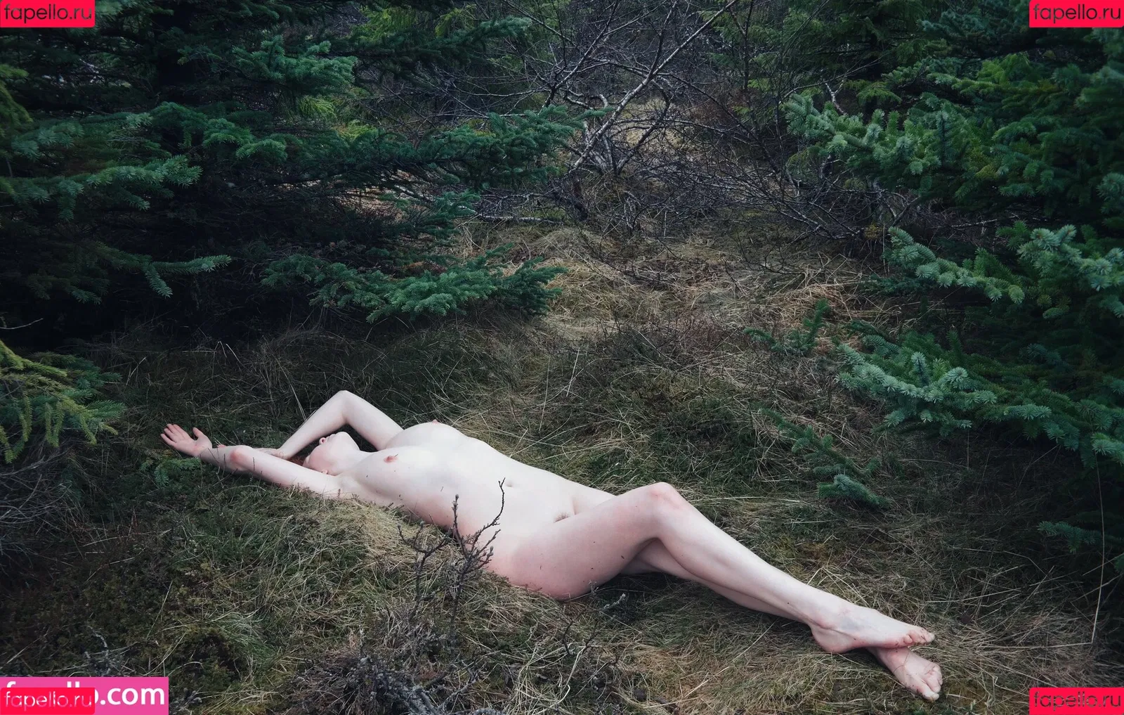 Icelandic Selkie Onlyfans Photo Gallery 