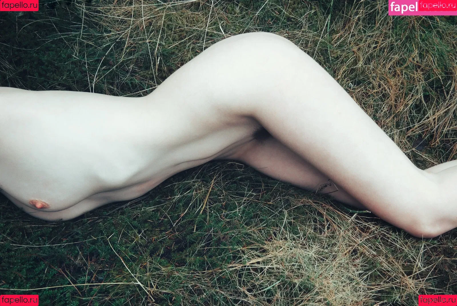 Icelandic Selkie Onlyfans Photo Gallery 