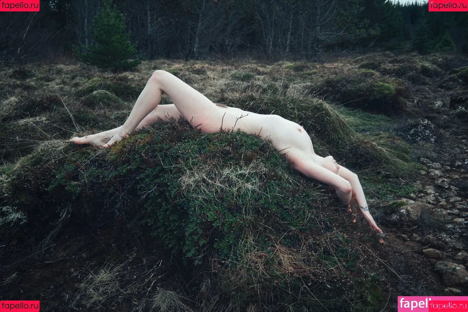 Icelandic Selkie Onlyfans Photo Gallery 