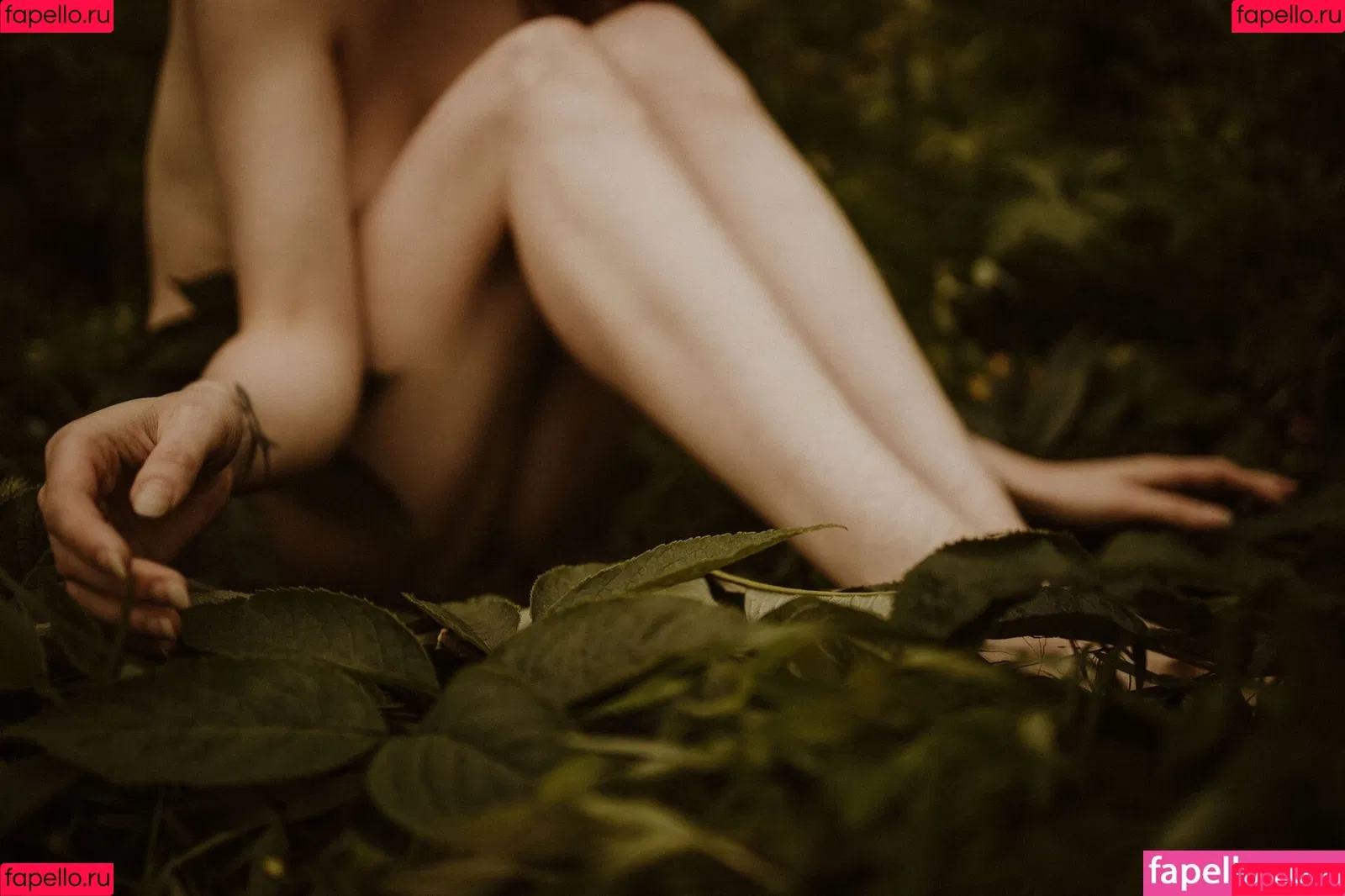 Icelandic Selkie Onlyfans Photo Gallery 