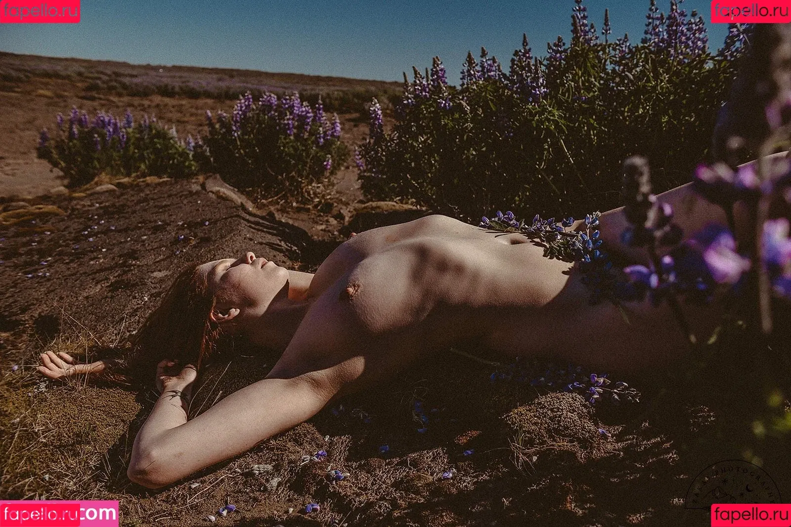 Icelandic Selkie Onlyfans Photo Gallery 