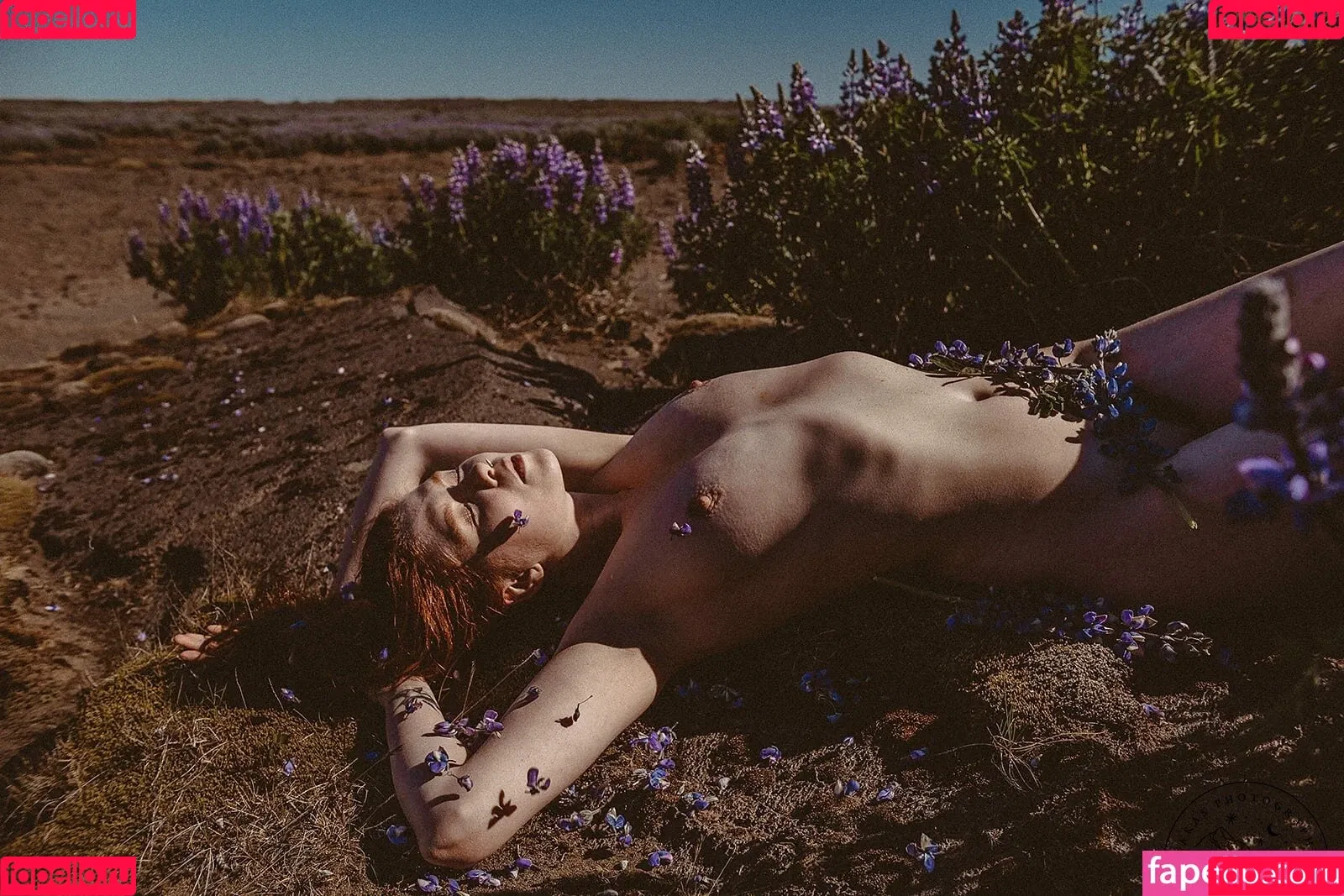 Icelandic Selkie Onlyfans Photo Gallery 