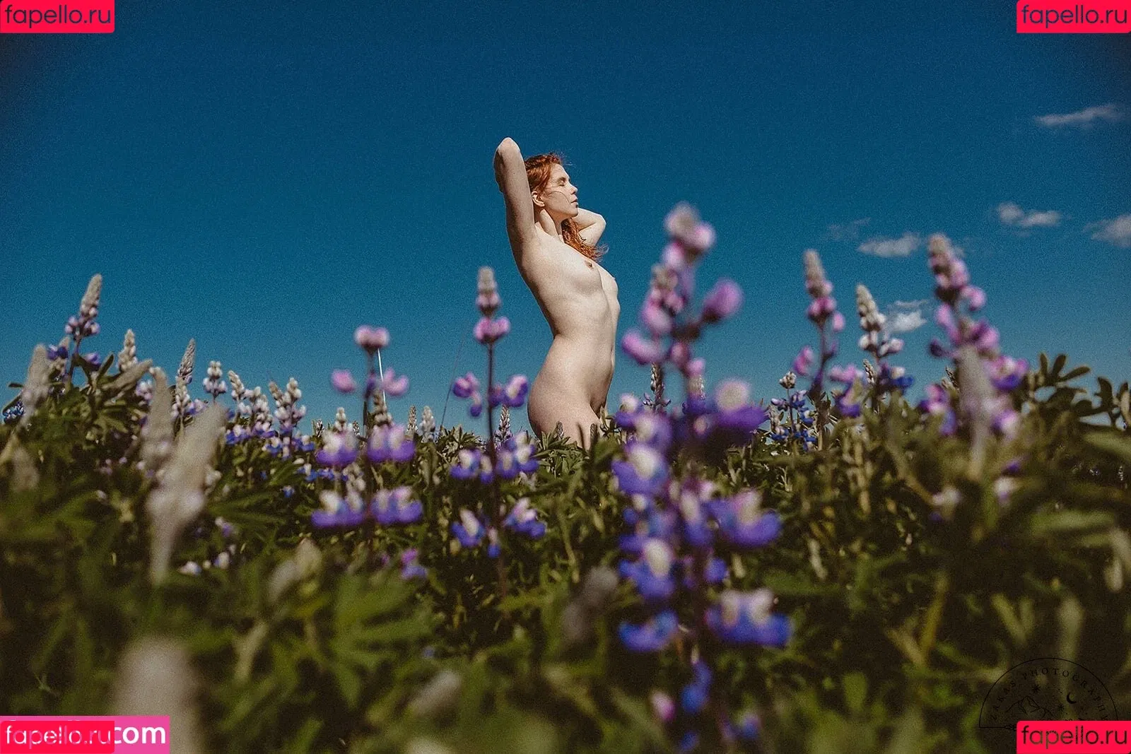 Icelandic Selkie Onlyfans Photo Gallery 