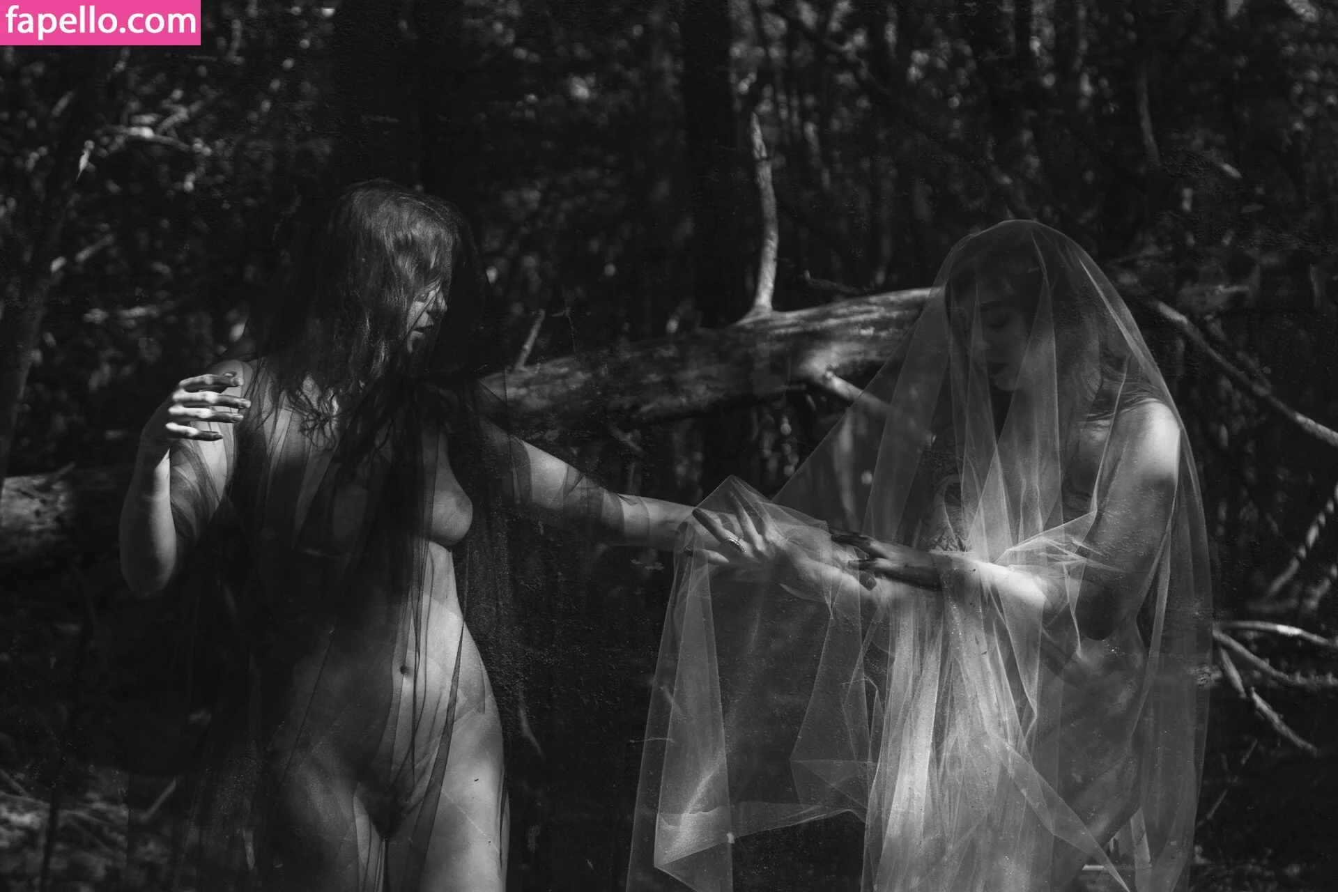 Icelandic Selkie Onlyfans Photo Gallery 