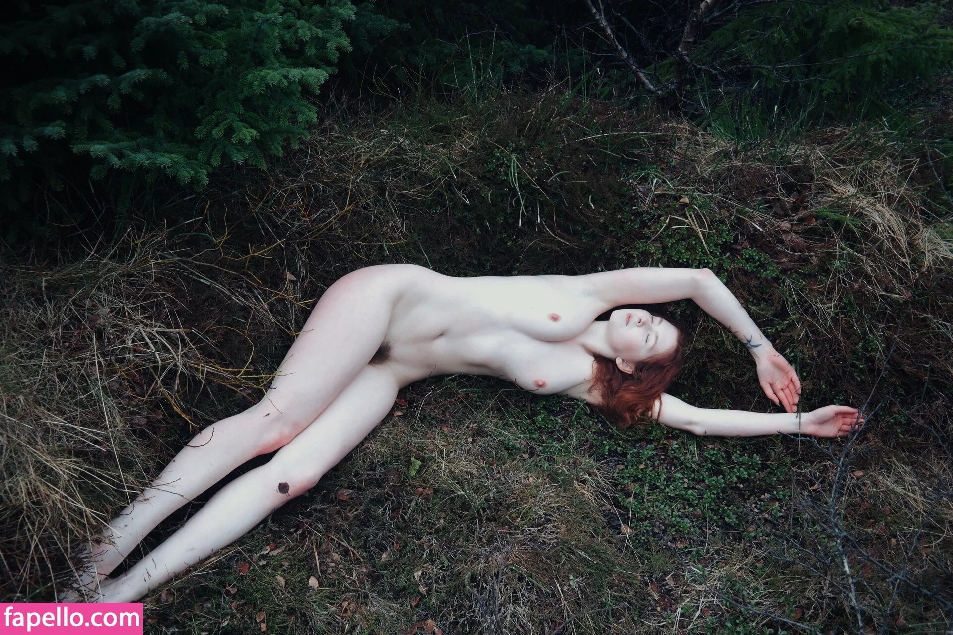 Icelandic Selkie Onlyfans Photo Gallery 