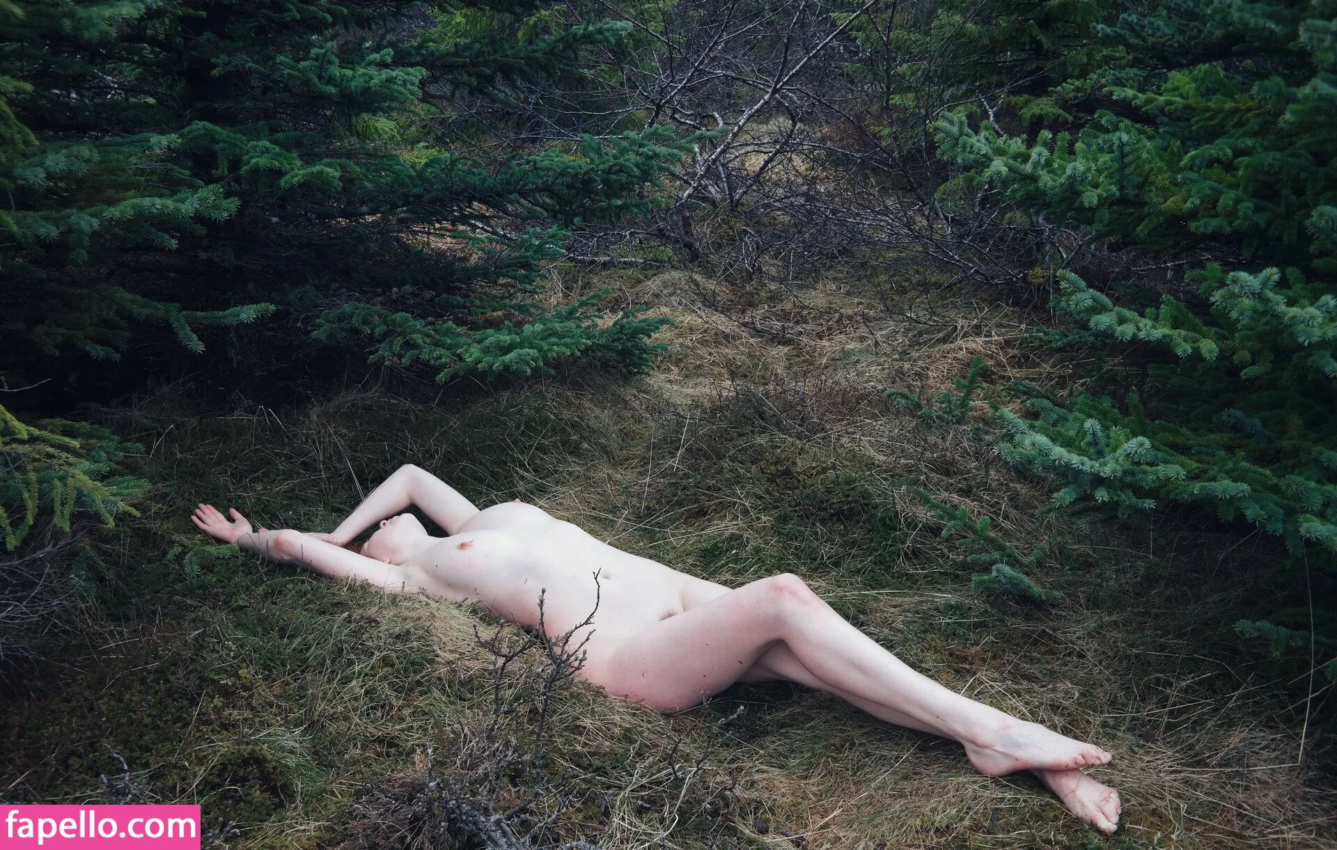 Icelandic Selkie Onlyfans Photo Gallery 