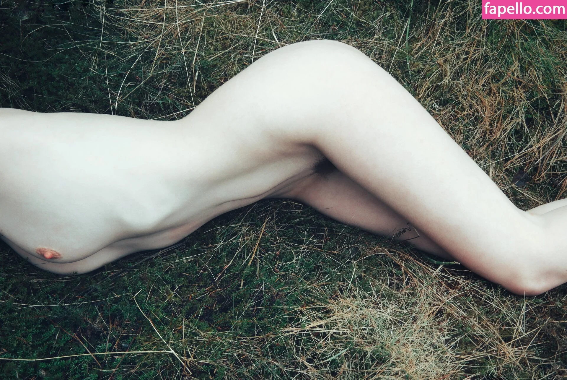 Icelandic Selkie Onlyfans Photo Gallery 