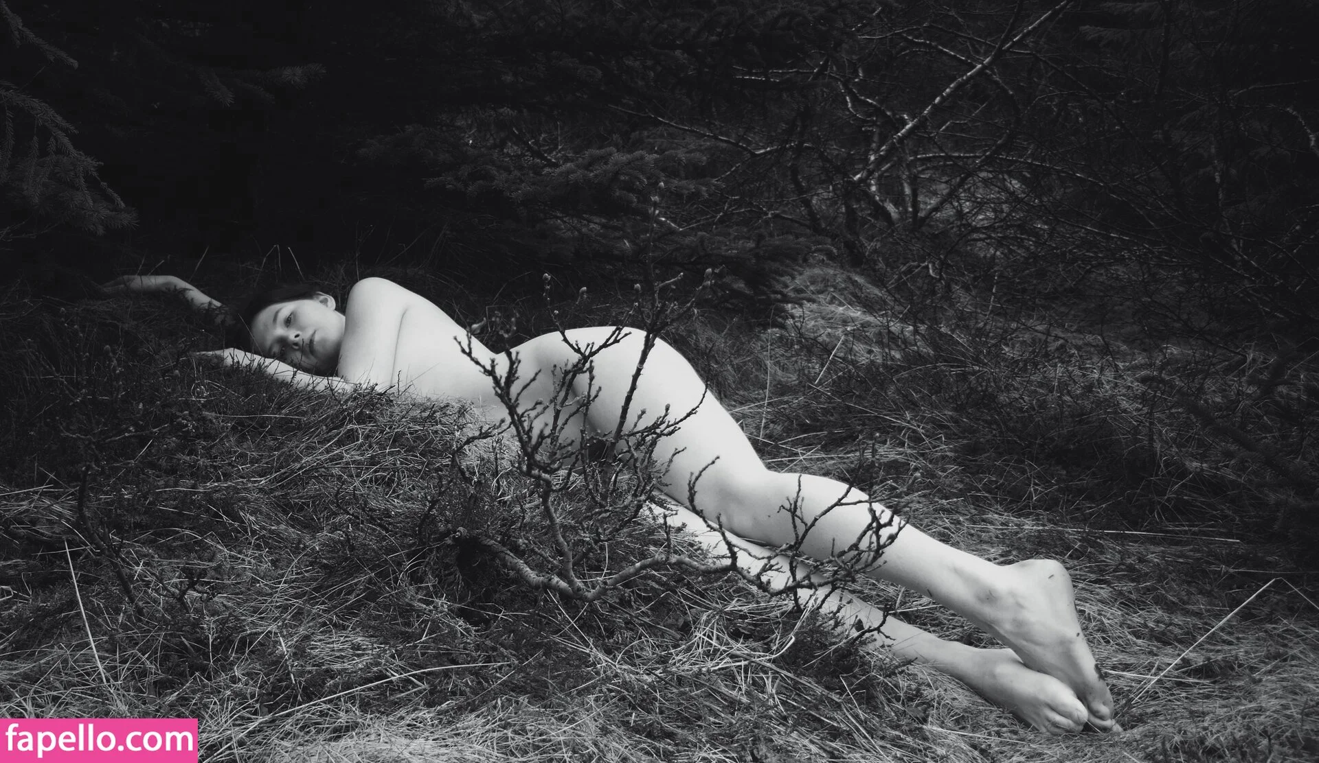 Icelandic Selkie Onlyfans Photo Gallery 