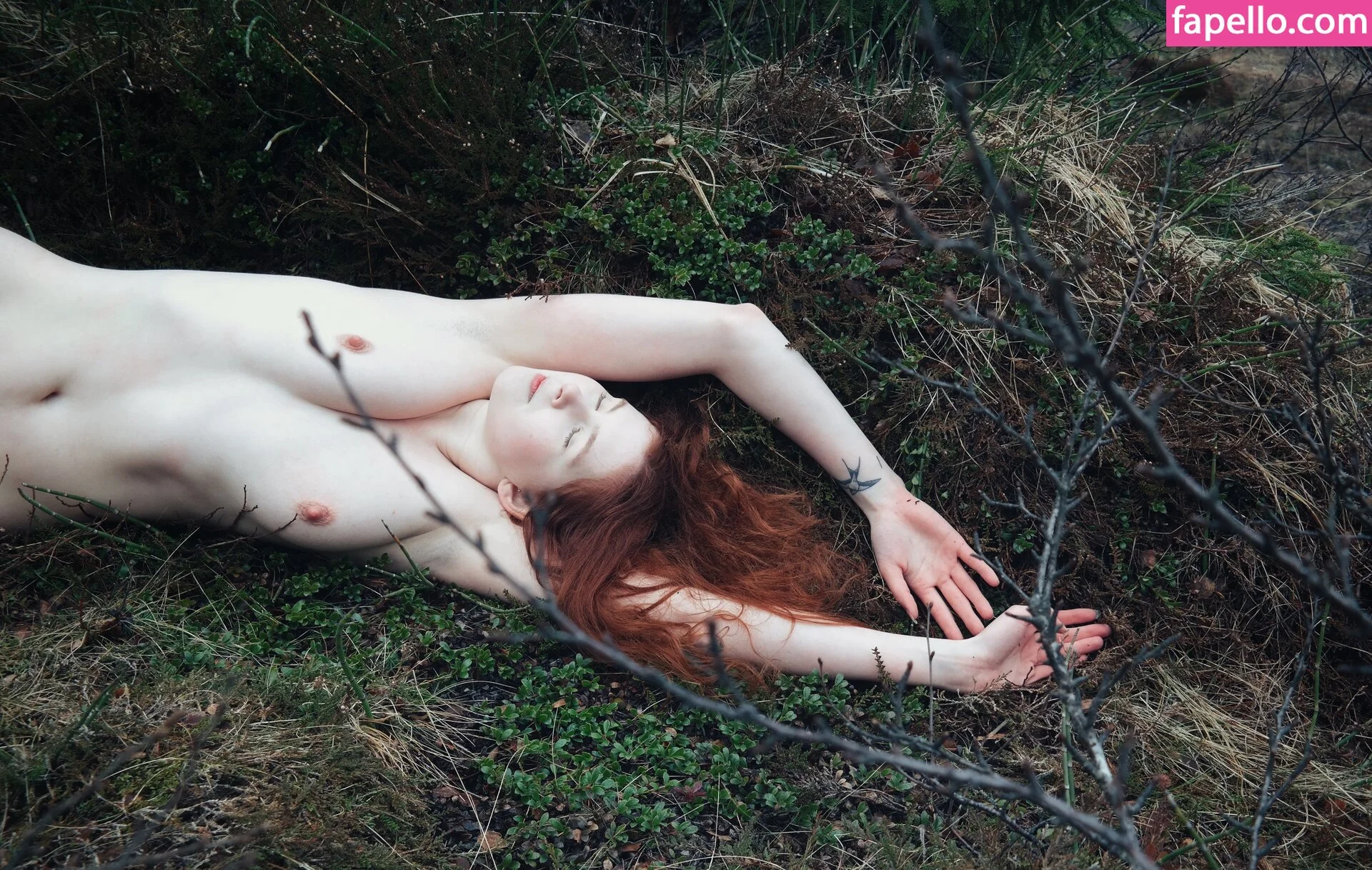 Icelandic Selkie Onlyfans Photo Gallery 