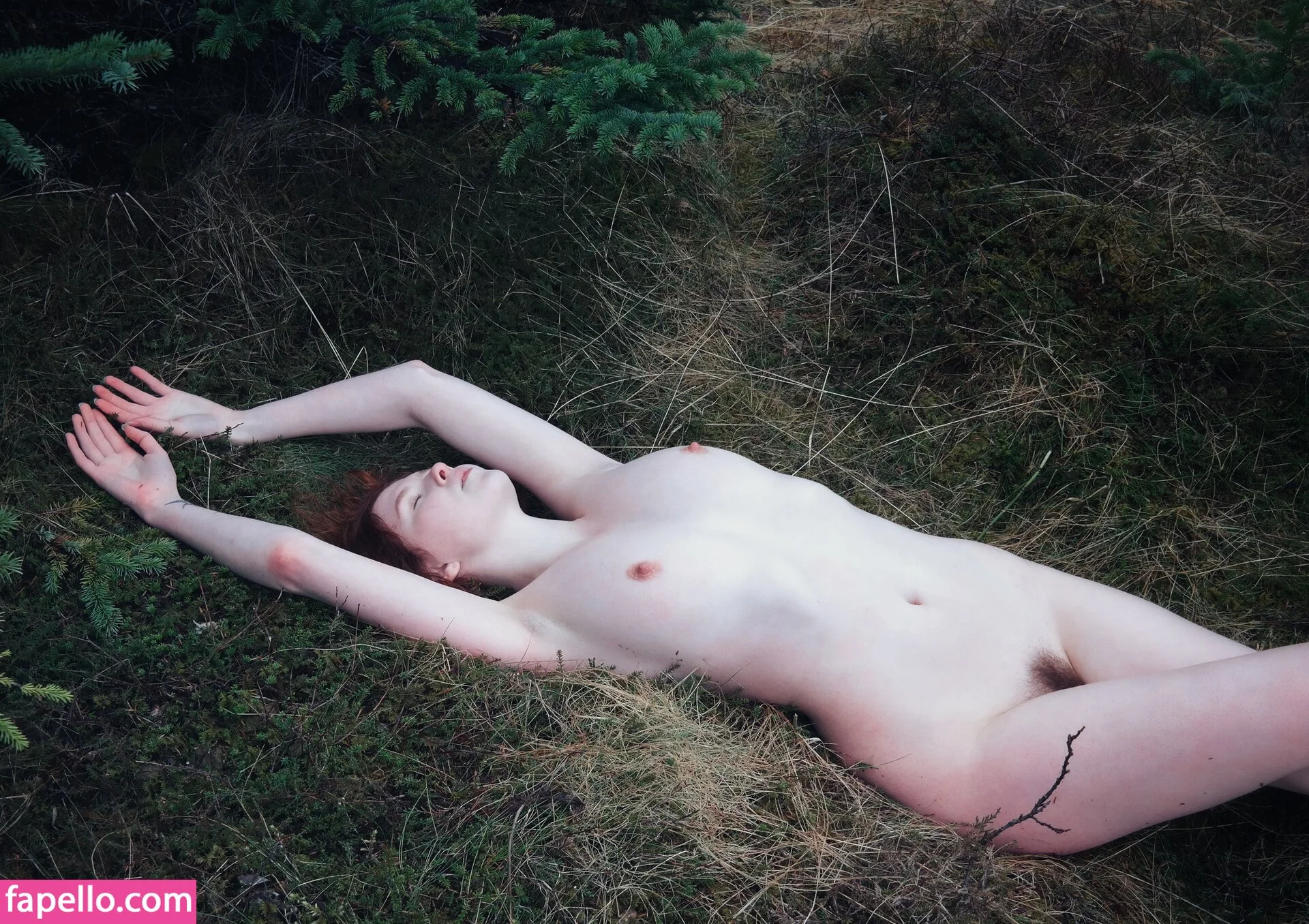 Icelandic Selkie Onlyfans Photo Gallery 