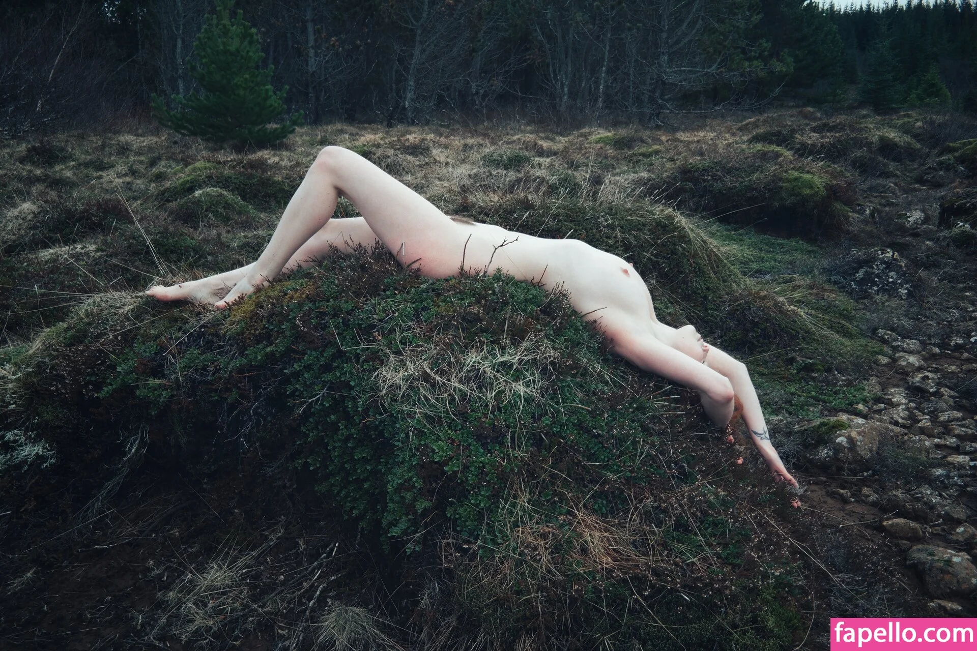 Icelandic Selkie Onlyfans Photo Gallery 