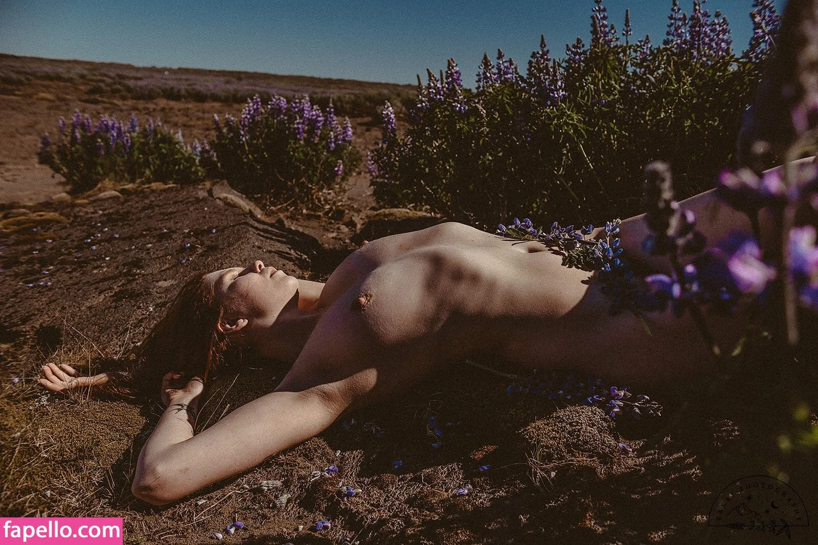 Icelandic Selkie Onlyfans Photo Gallery 