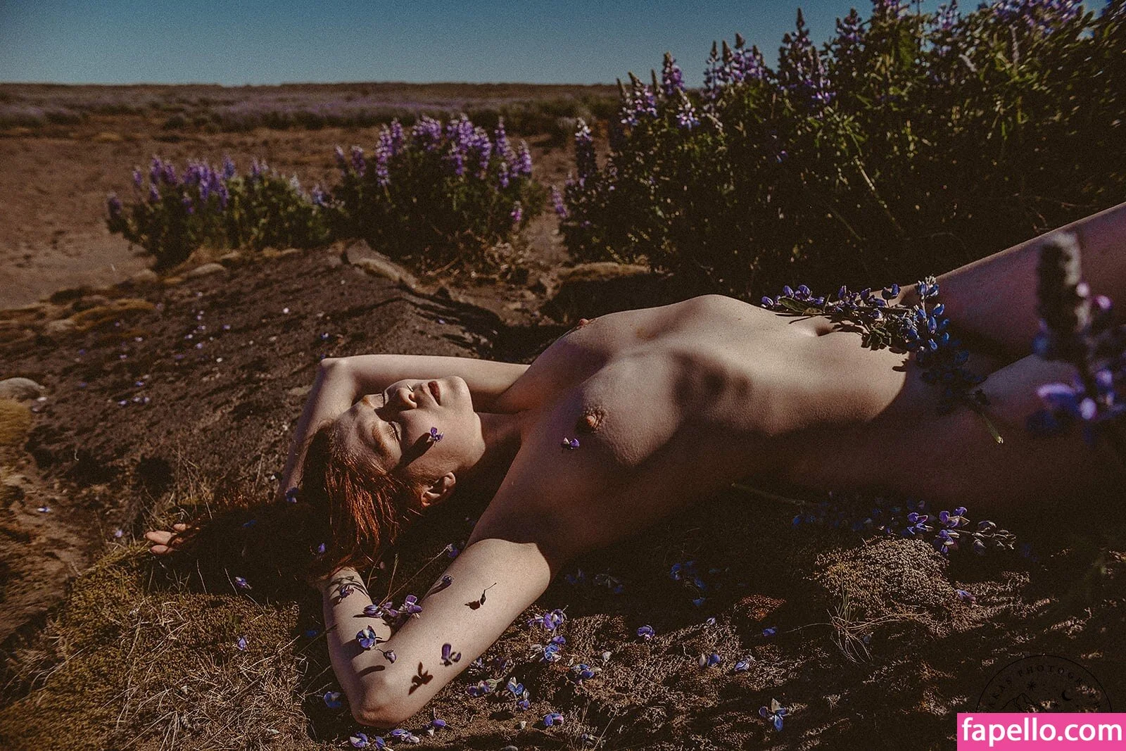 Icelandic Selkie Onlyfans Photo Gallery 