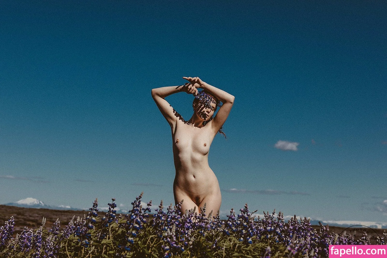 Icelandic Selkie Onlyfans Photo Gallery 