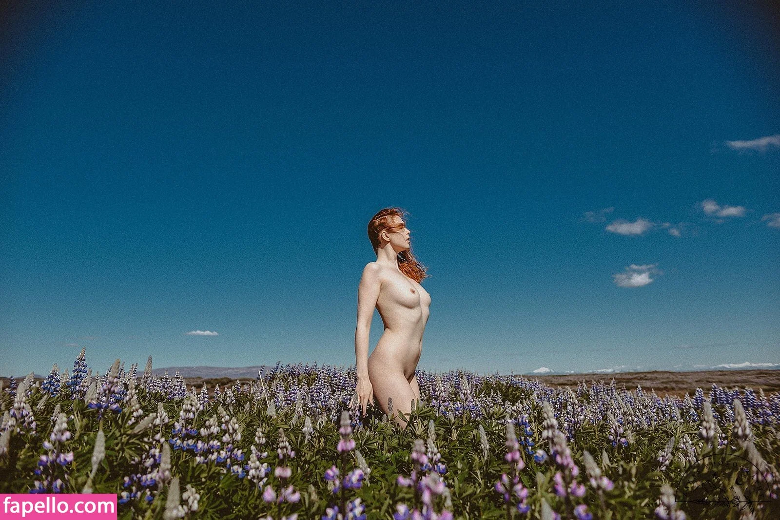 Icelandic Selkie Onlyfans Photo Gallery 