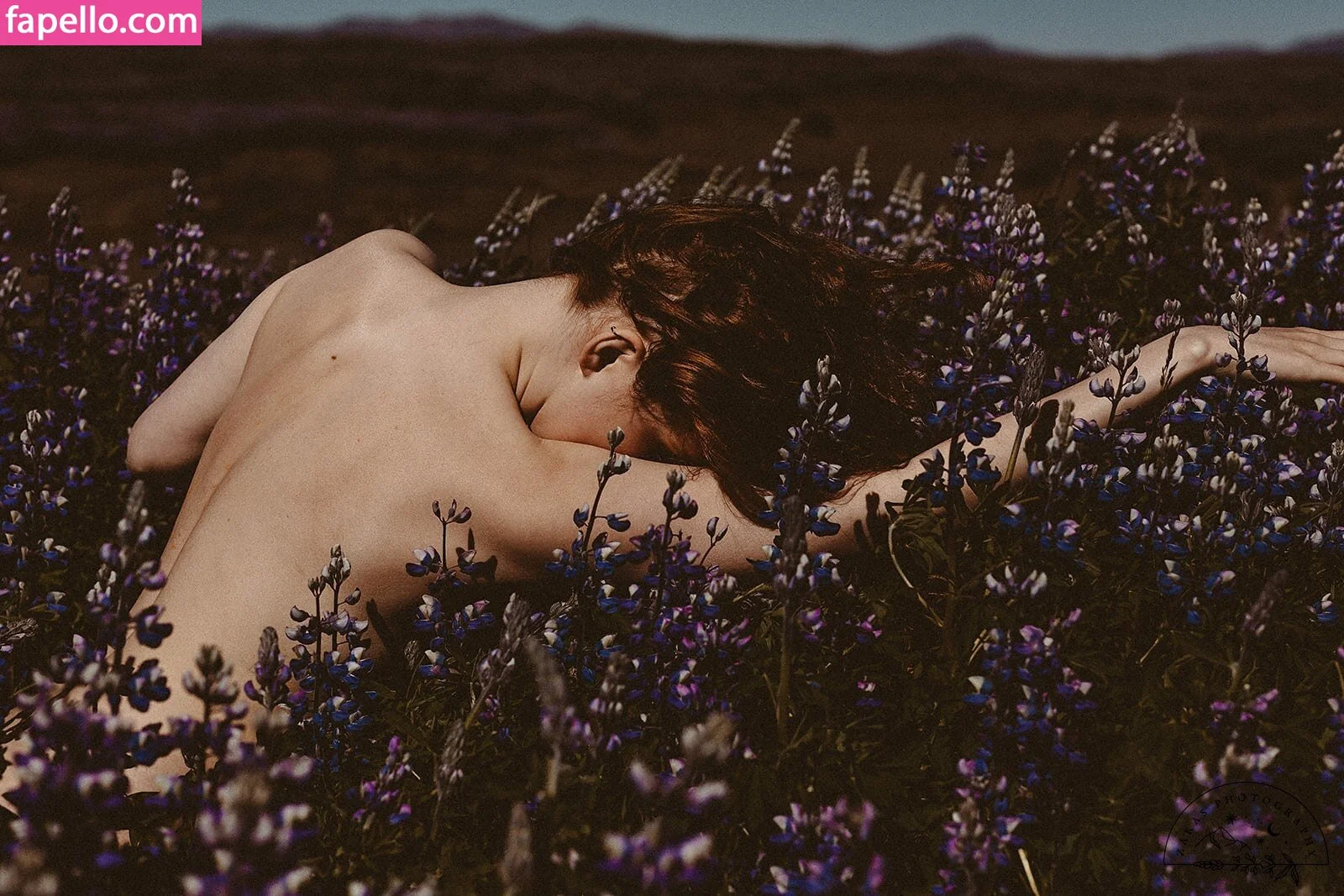 Icelandic Selkie Onlyfans Photo Gallery 