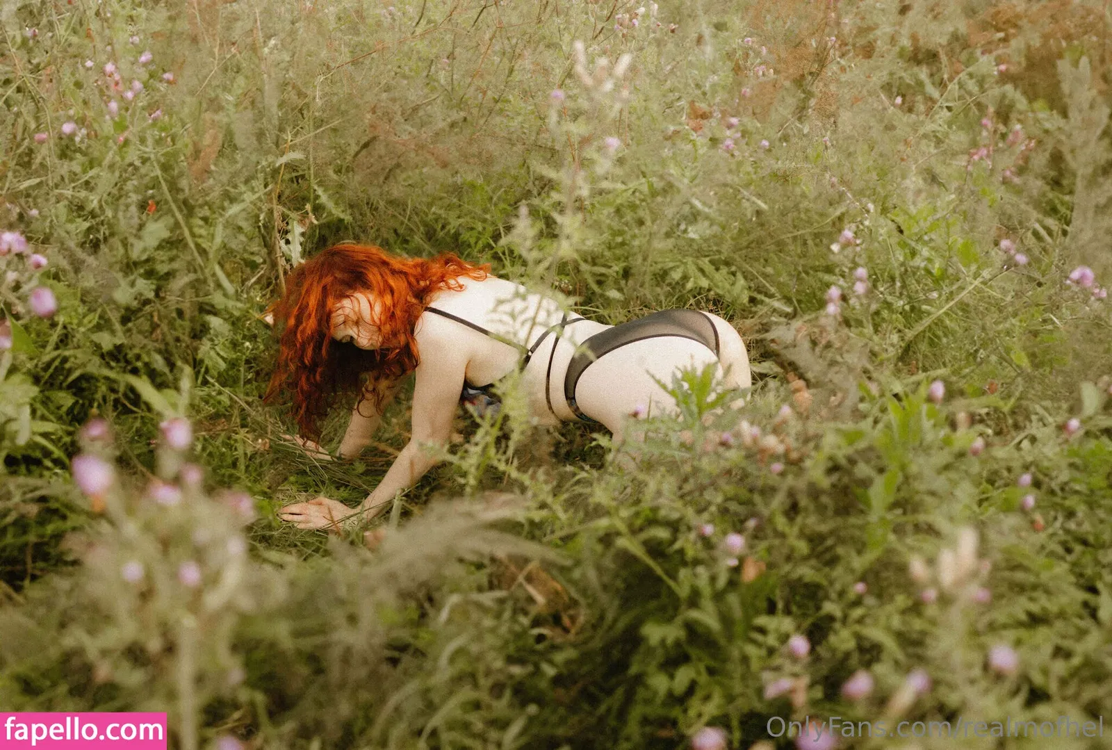 Icelandic Selkie Onlyfans Photo Gallery 