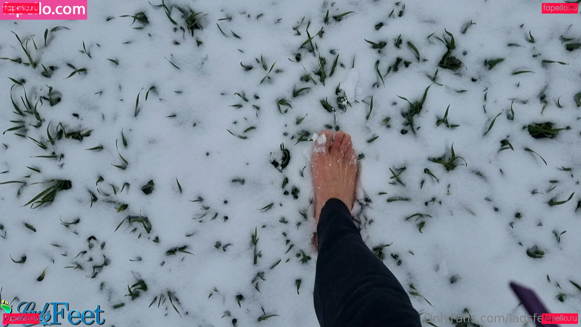 ladsfeetfree Onlyfans Photo Gallery 