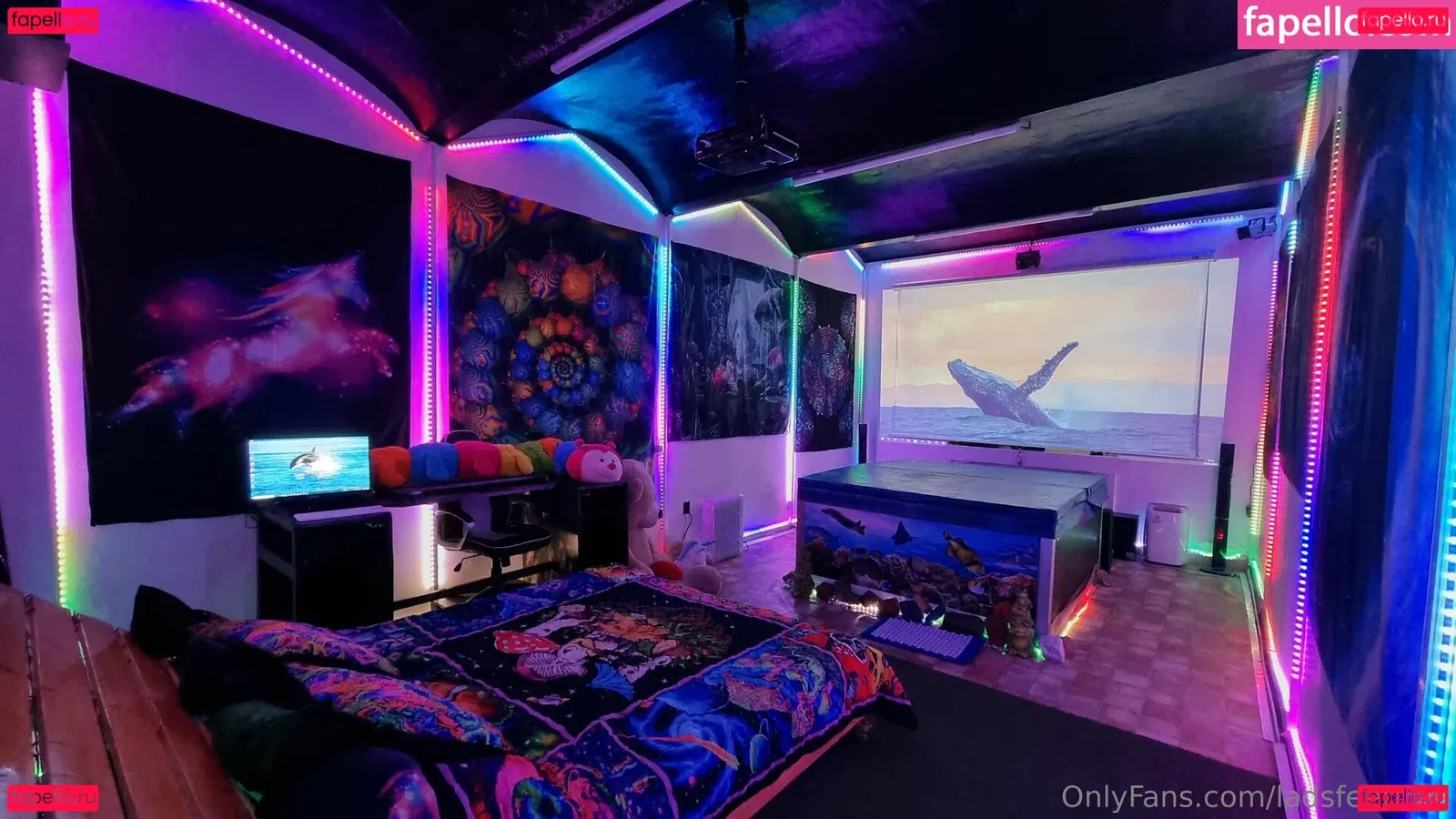 ladsfeetfree Onlyfans Photo Gallery 