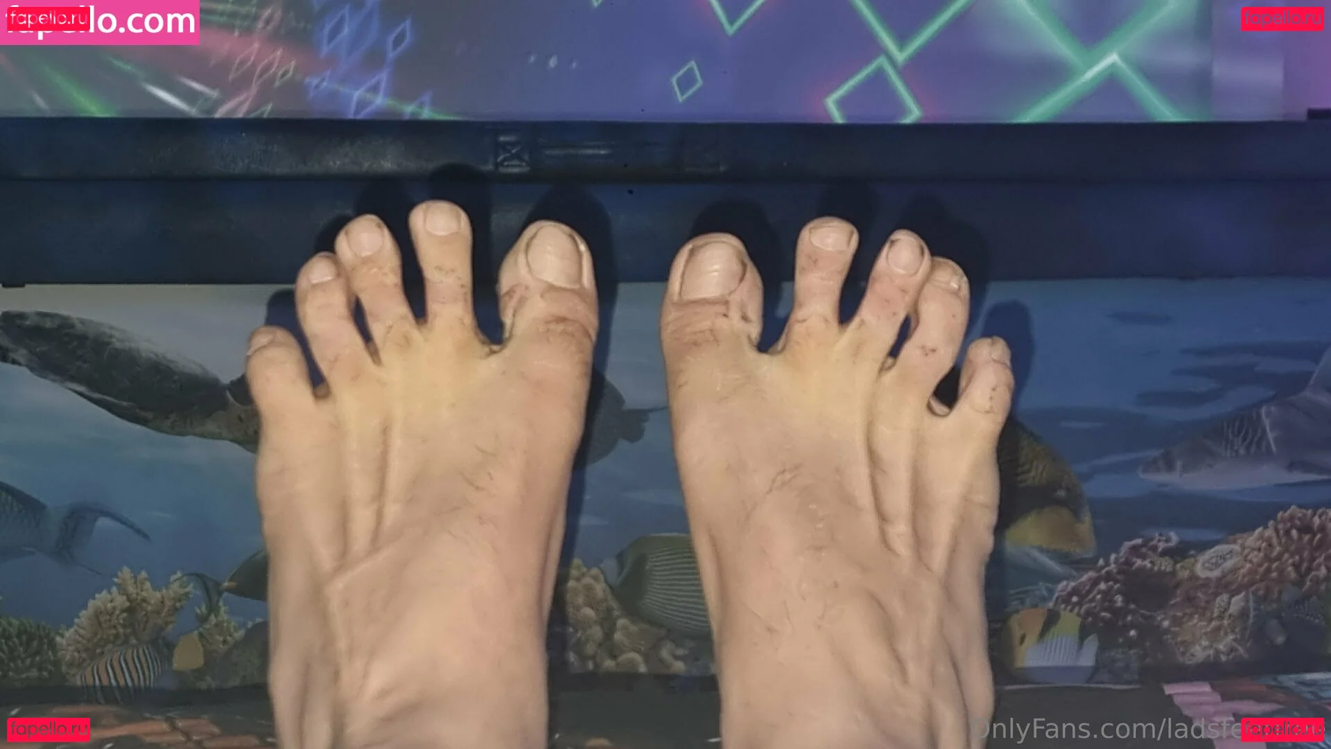 ladsfeetfree Onlyfans Photo Gallery 