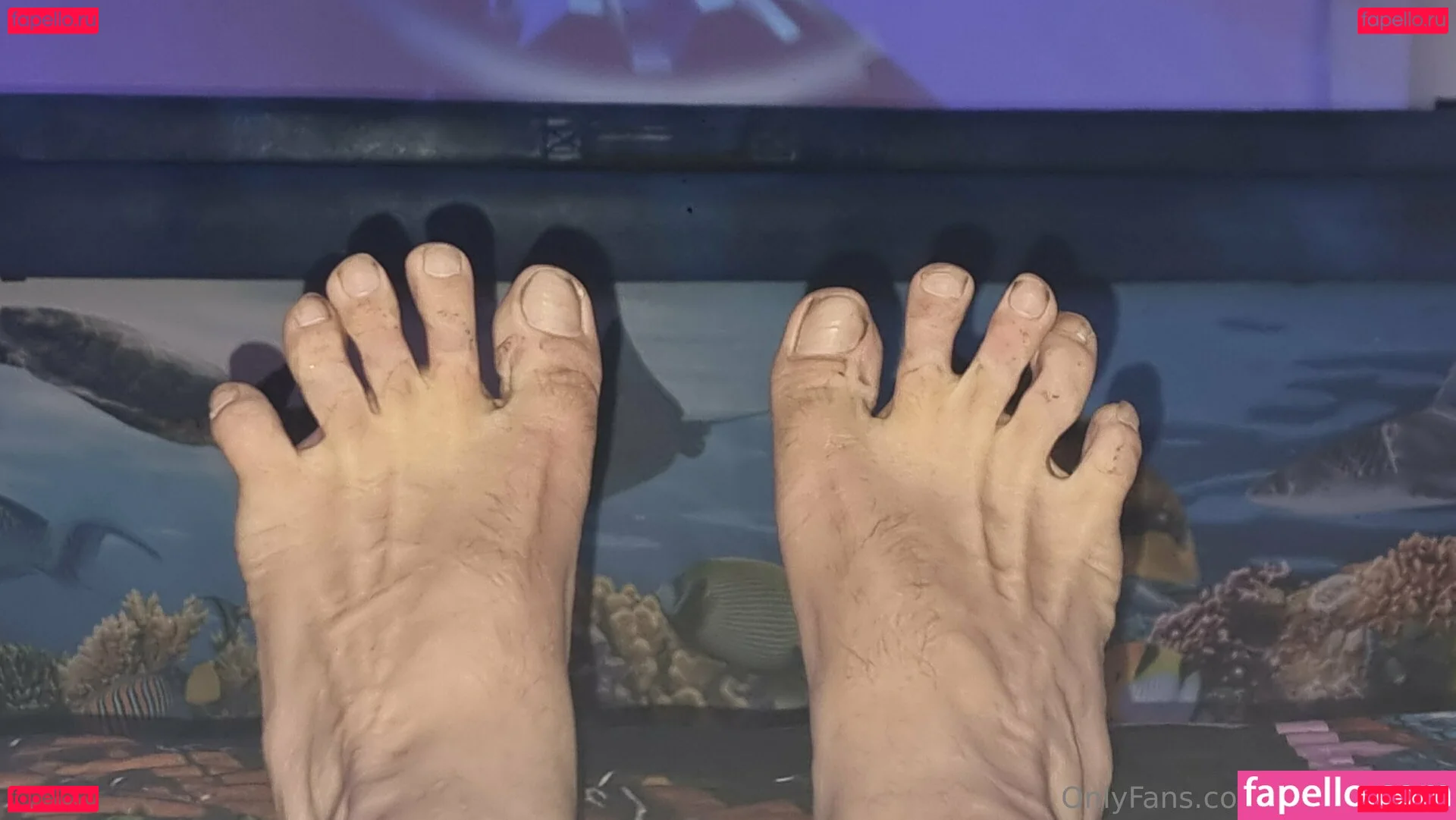 ladsfeetfree Onlyfans Photo Gallery 