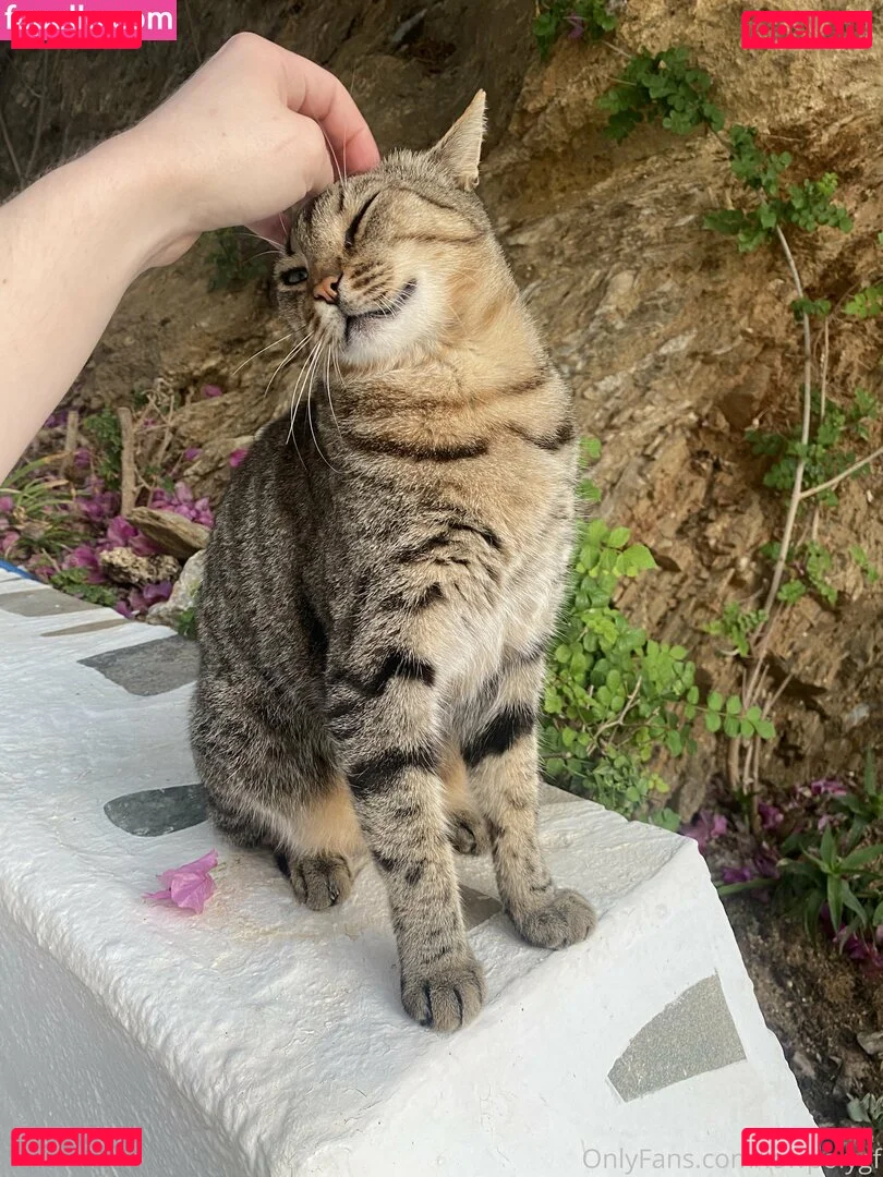 lowpolygf Onlyfans Photo Gallery 