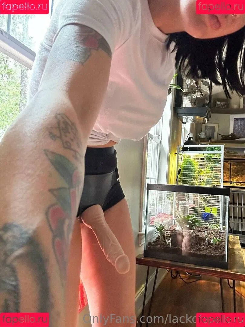 lackofskillets Onlyfans Photo Gallery 