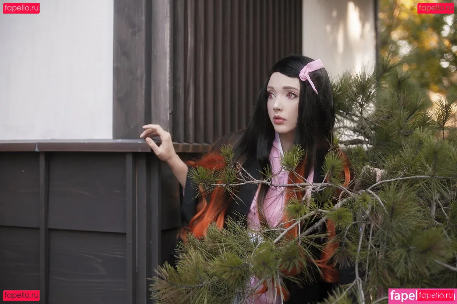 saiwest Onlyfans Photo Gallery 