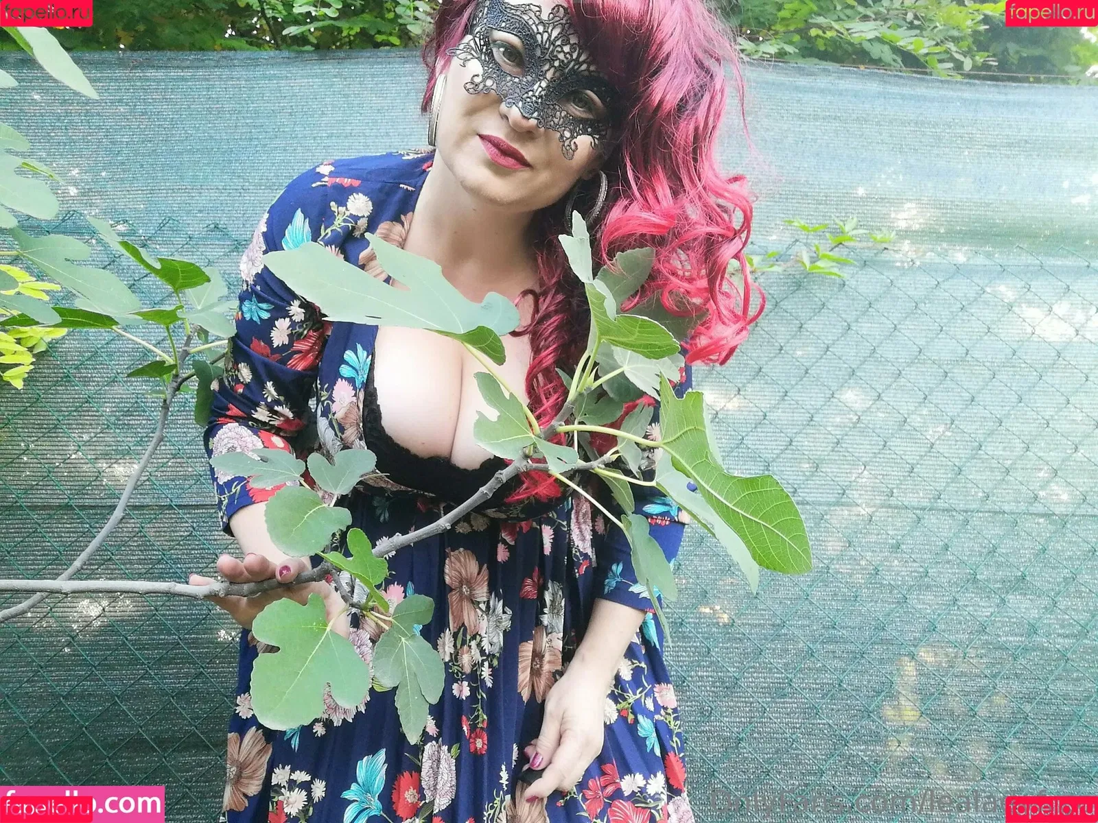 lealadyfree Onlyfans Photo Gallery 