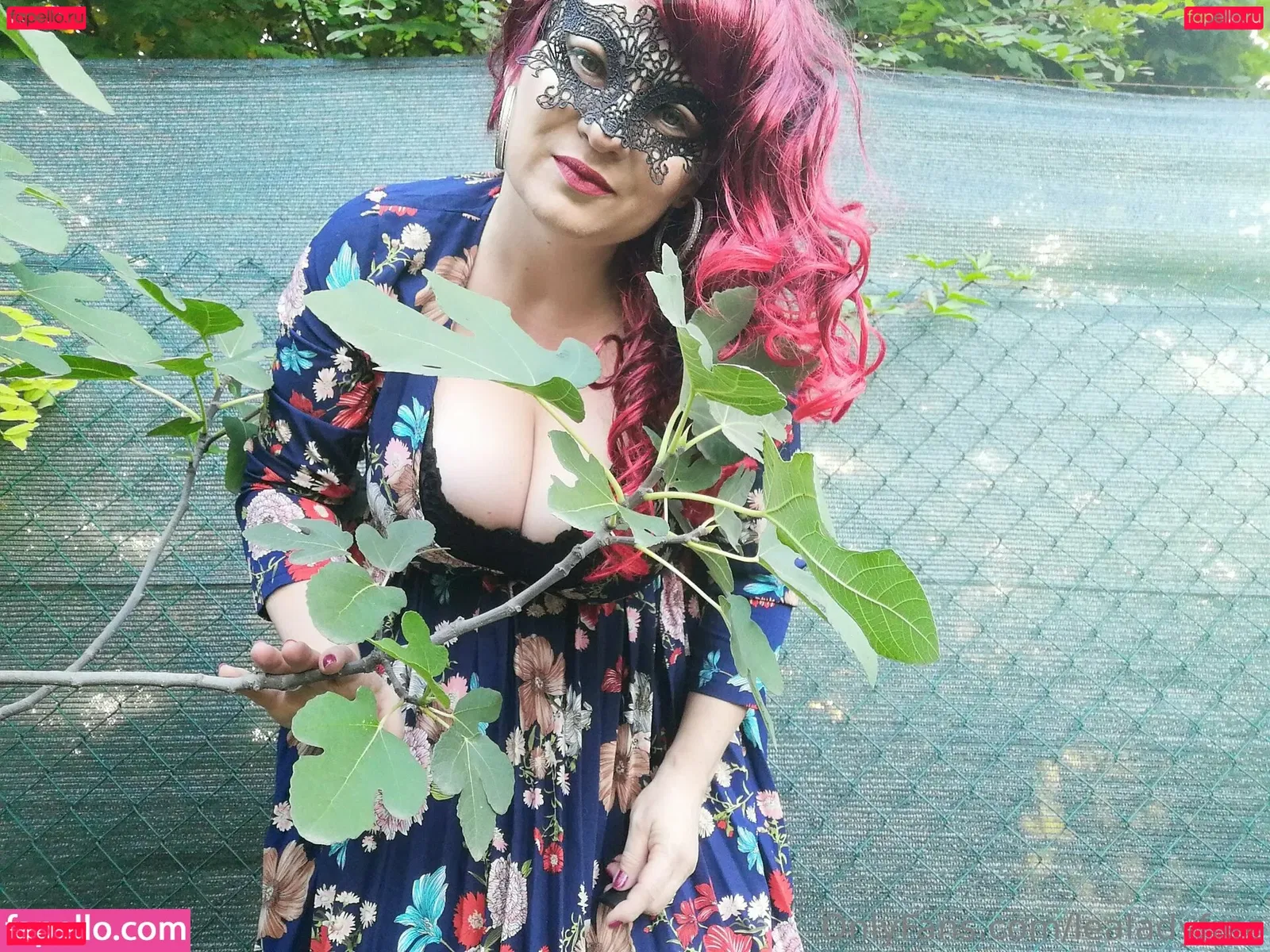 lealadyfree Onlyfans Photo Gallery 